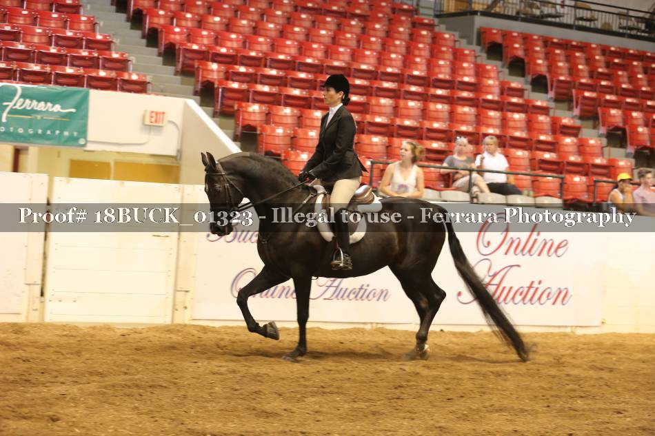 Proof 18BUCK_01323