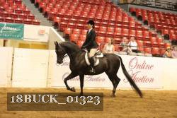 18BUCK_01323 proof