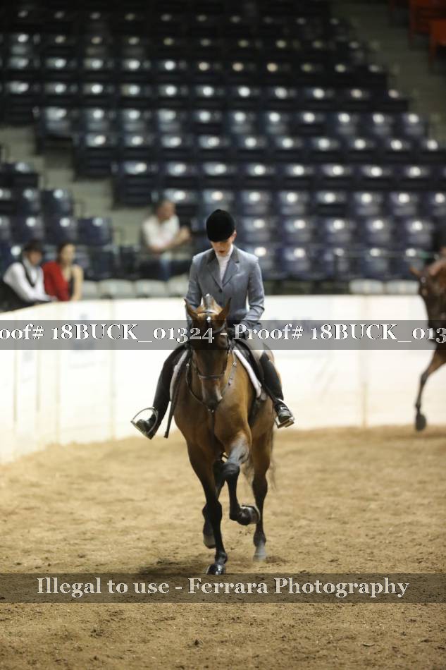 Proof 18BUCK_01324
