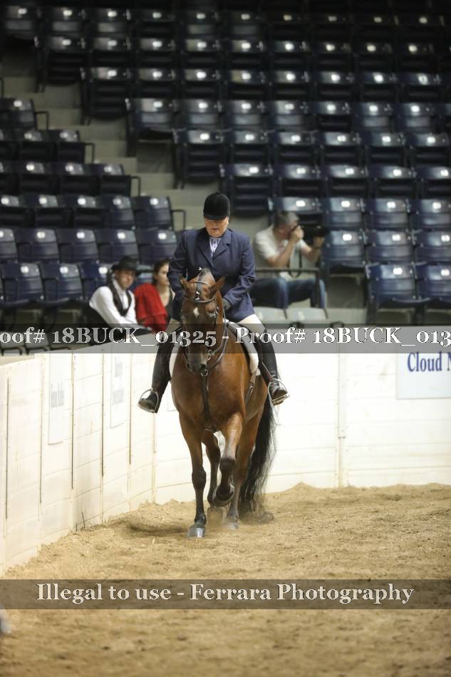 Proof 18BUCK_01325
