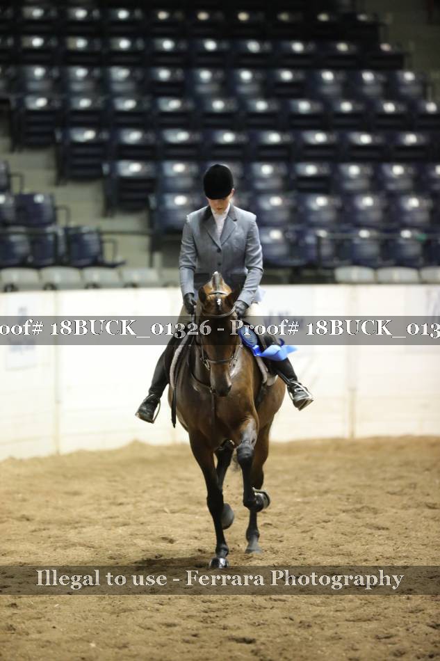 Proof 18BUCK_01326