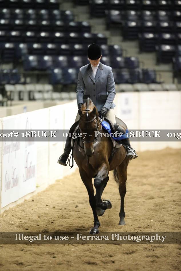Proof 18BUCK_01327
