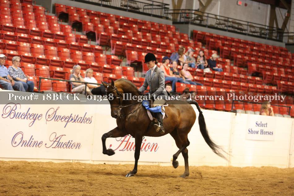 Proof 18BUCK_01328