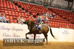 18BUCK_01328 proof