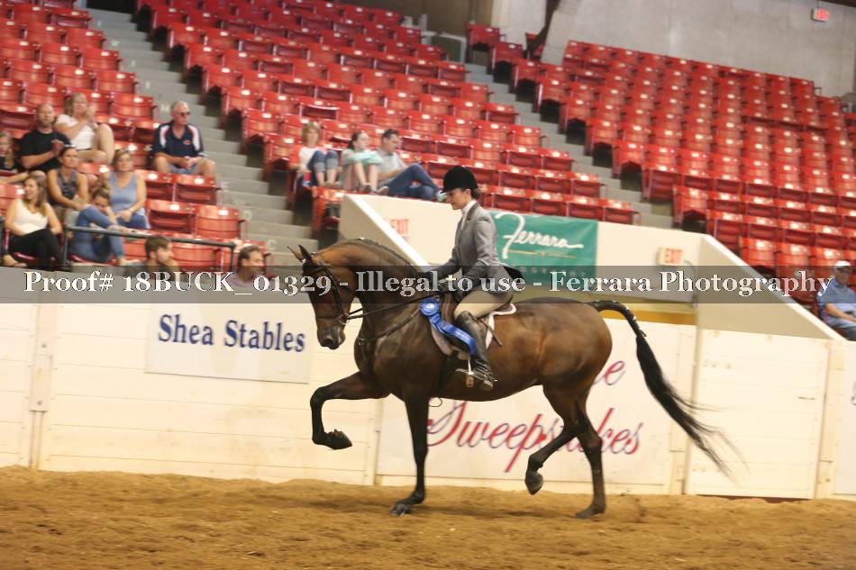 Proof 18BUCK_01329
