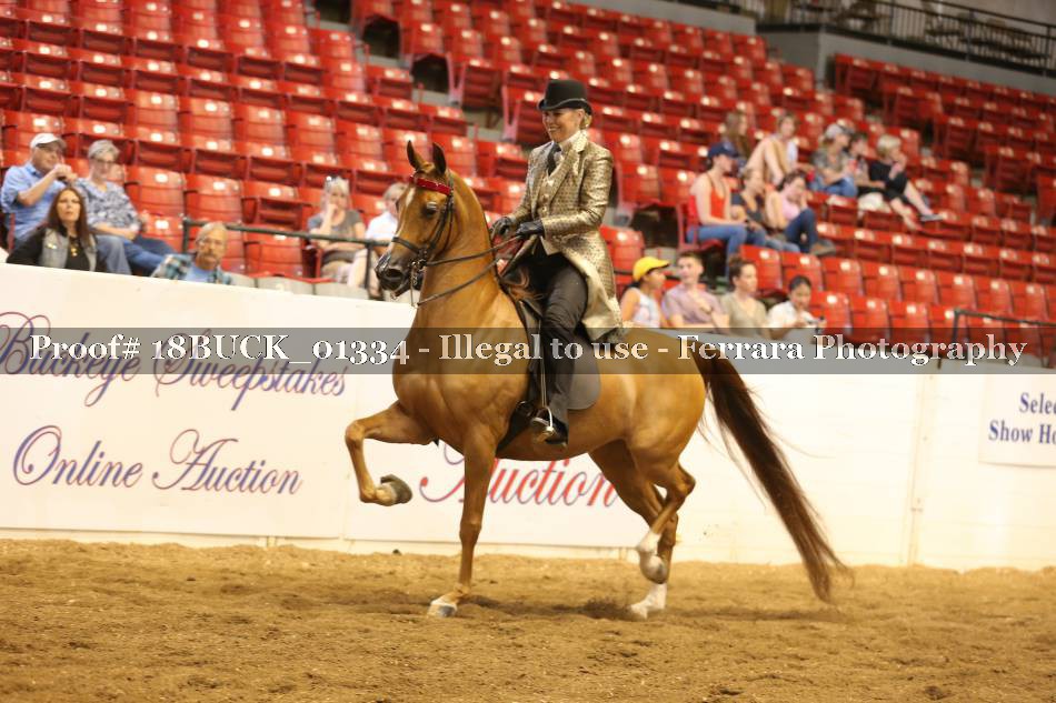Proof 18BUCK_01334