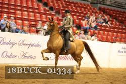 18BUCK_01334 proof