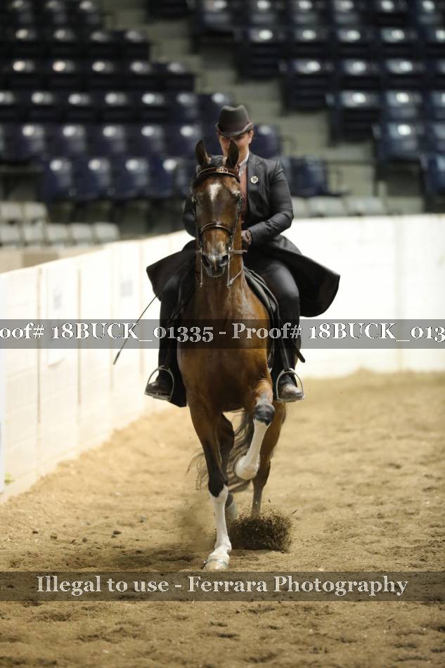 Proof 18BUCK_01335