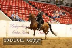 18BUCK_01337 proof