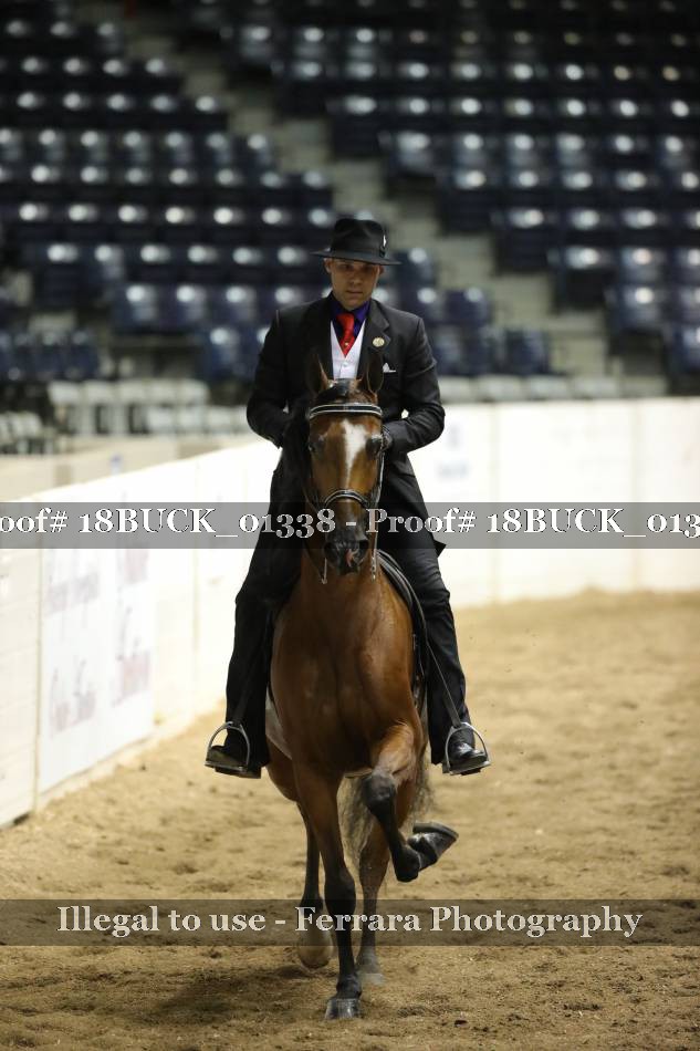 Proof 18BUCK_01338