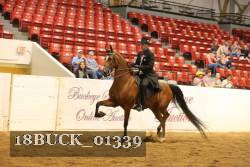 18BUCK_01339 proof