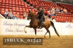 18BUCK_01342 proof