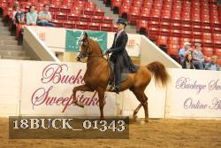 18BUCK_01343 proof