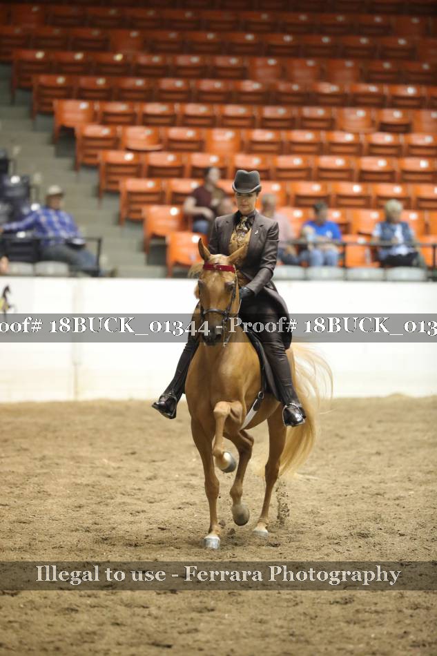 Proof 18BUCK_01344