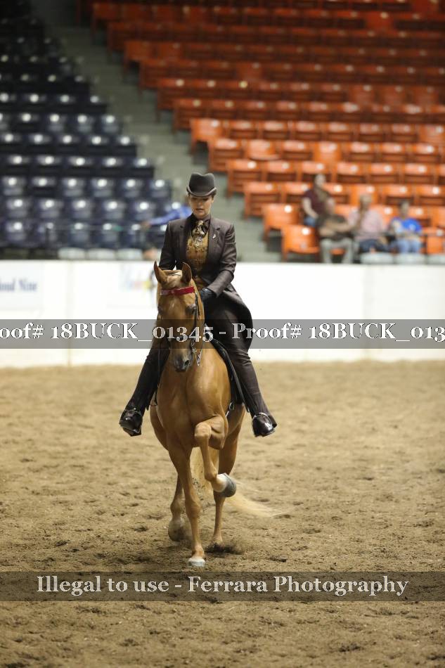 Proof 18BUCK_01345