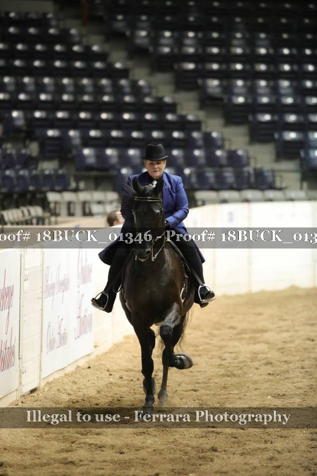 Proof 18BUCK_01346