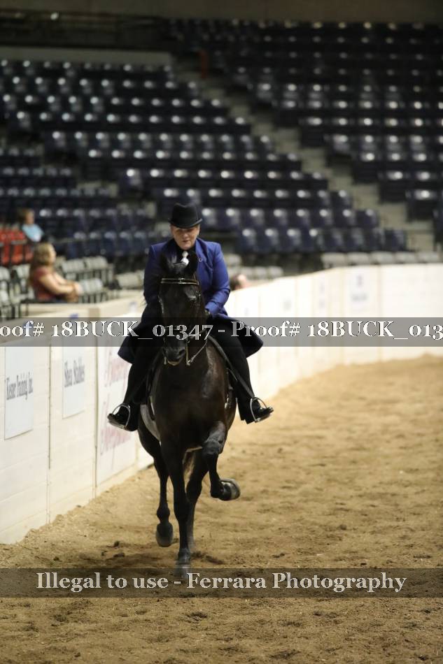 Proof 18BUCK_01347