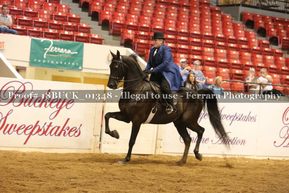 Proof 18BUCK_01348