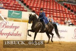 18BUCK_01348 proof
