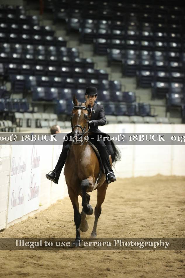 Proof 18BUCK_01349