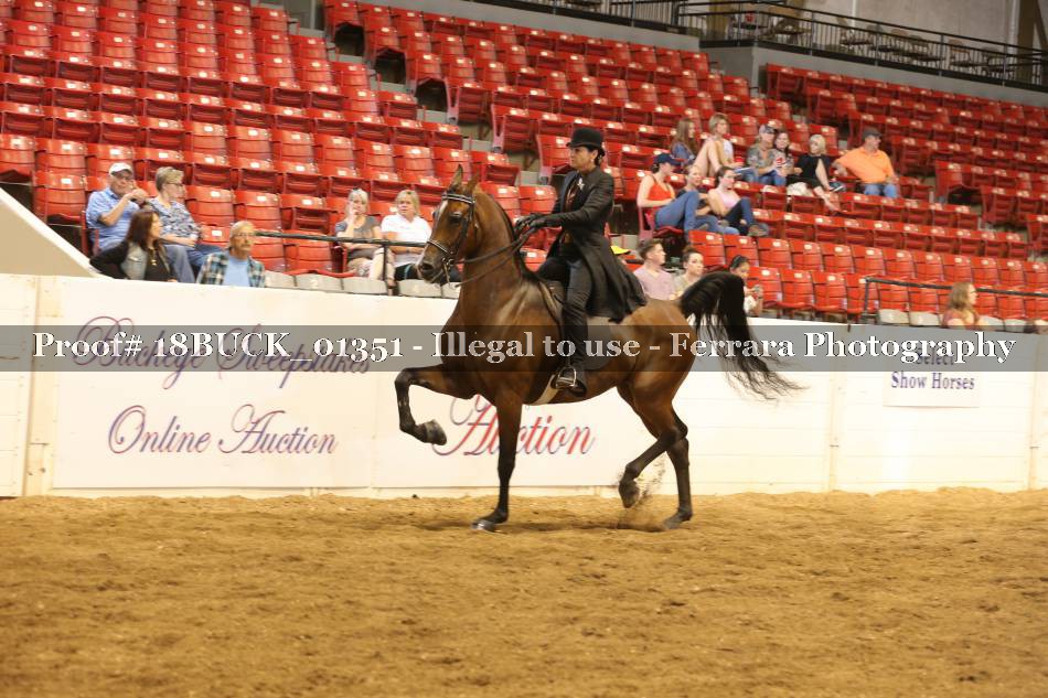 Proof 18BUCK_01351