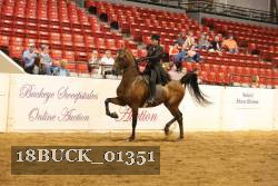 18BUCK_01351 proof