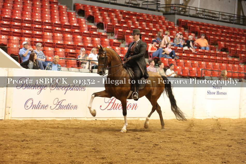 Proof 18BUCK_01352