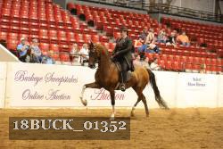 18BUCK_01352 proof