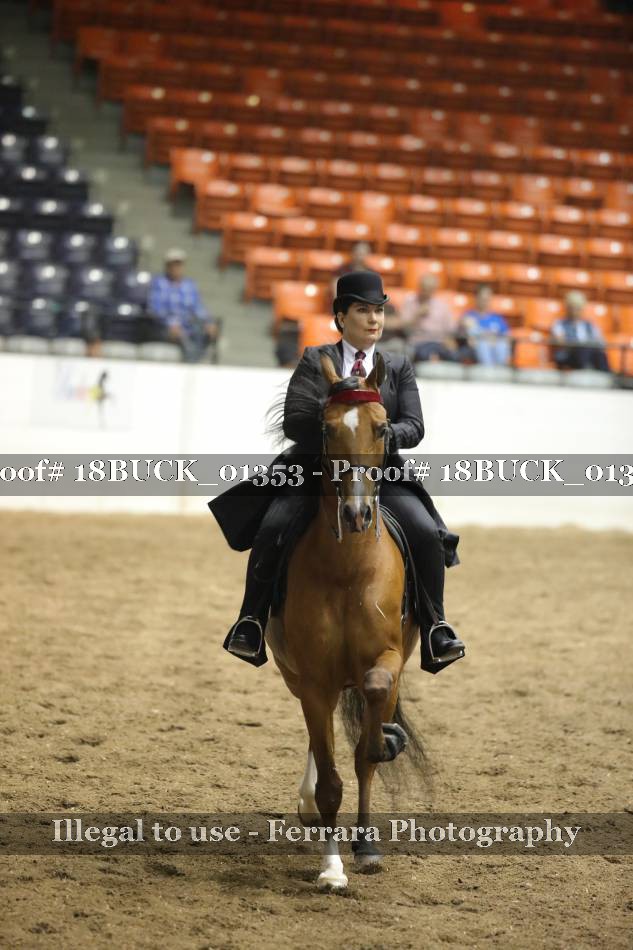 Proof 18BUCK_01353