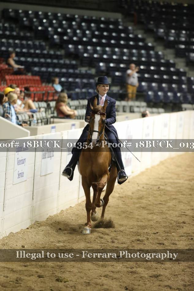 Proof 18BUCK_01354
