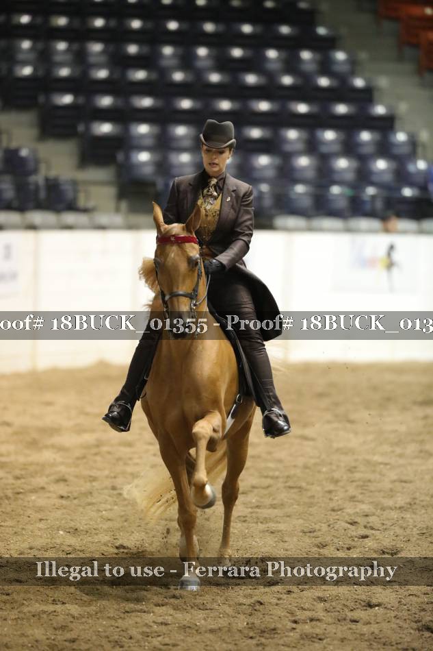 Proof 18BUCK_01355