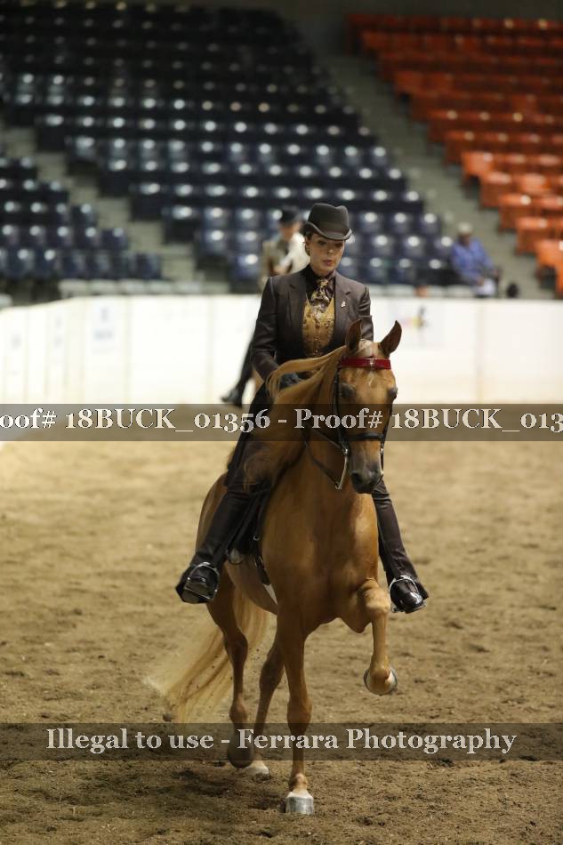Proof 18BUCK_01356