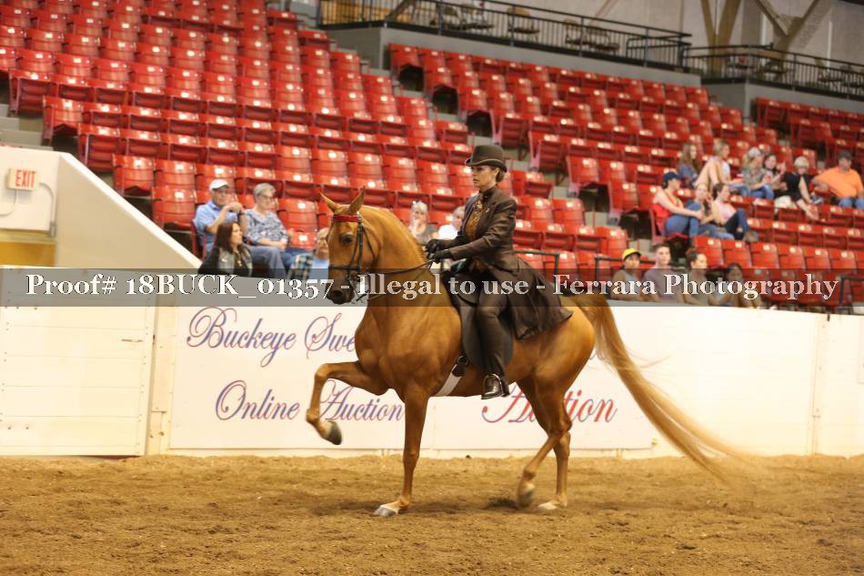 Proof 18BUCK_01357
