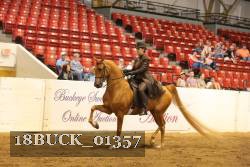 18BUCK_01357 proof