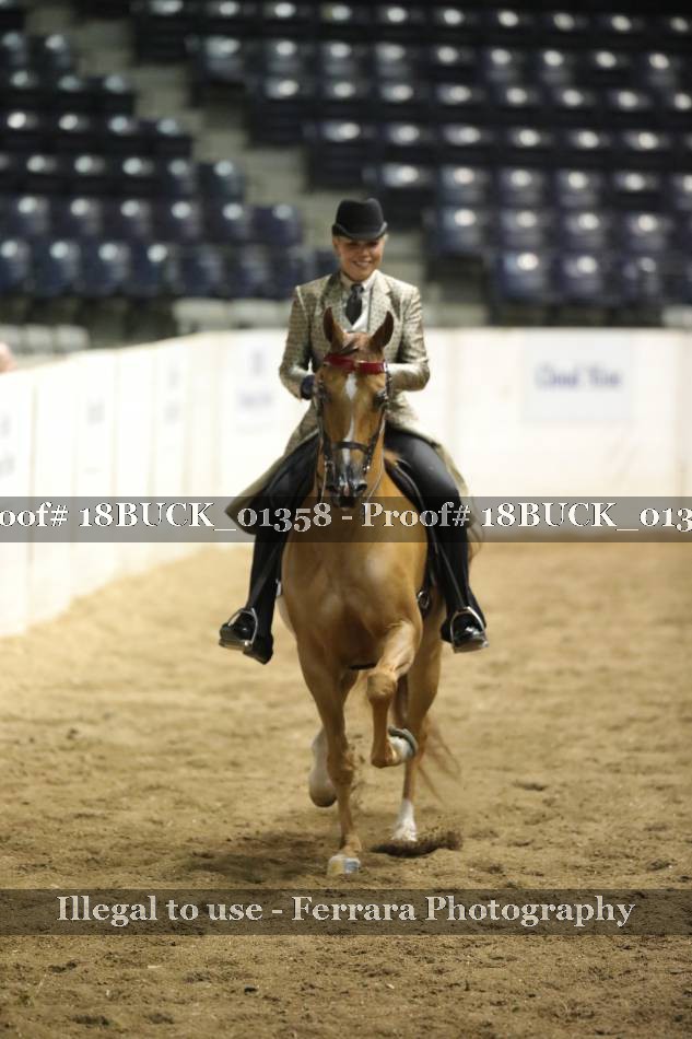 Proof 18BUCK_01358