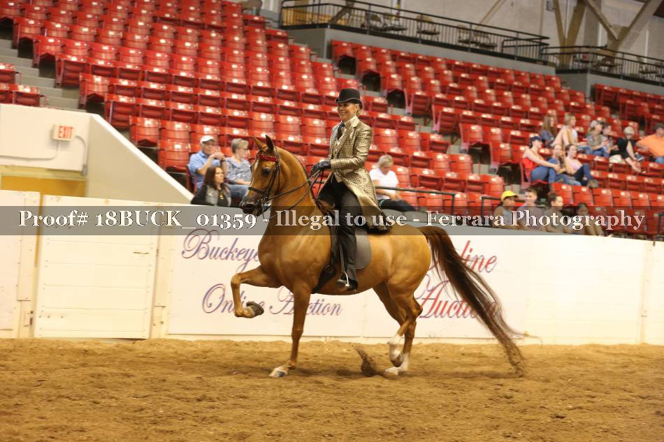 Proof 18BUCK_01359