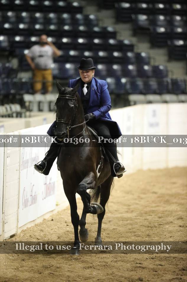 Proof 18BUCK_01360
