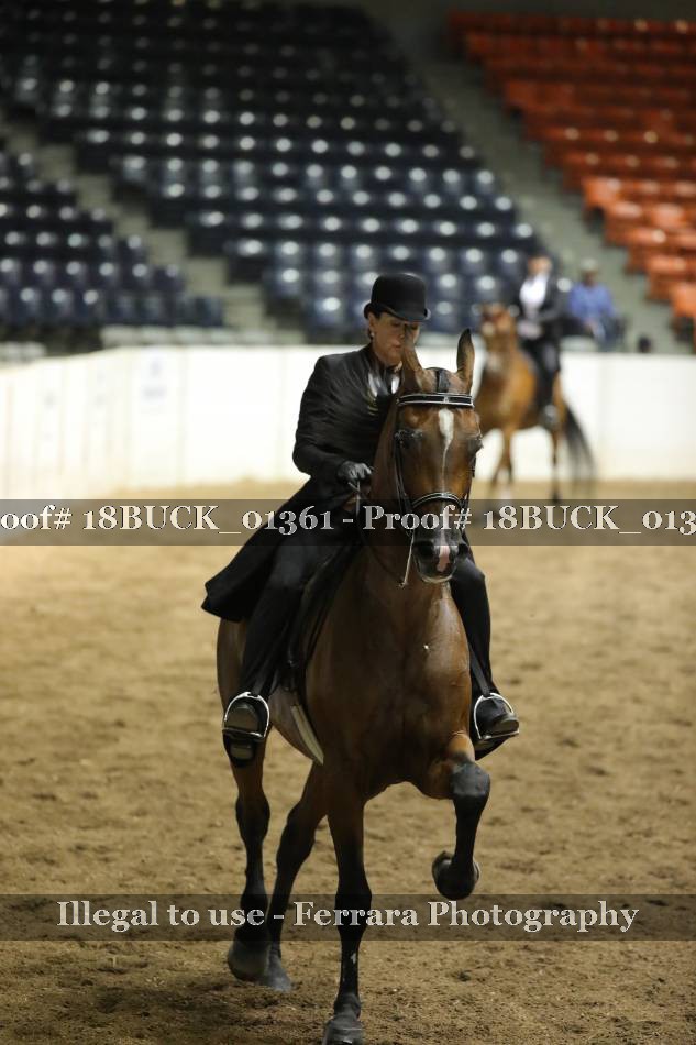 Proof 18BUCK_01361