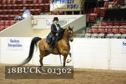 18BUCK_01362 proof