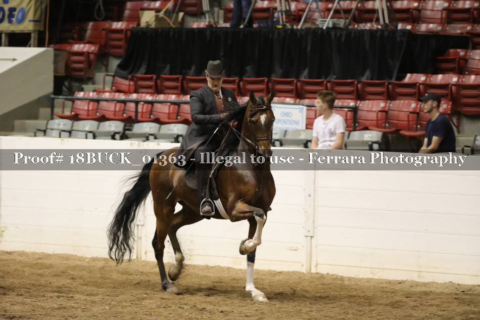 Proof 18BUCK_01363