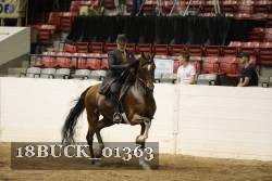 18BUCK_01363 proof