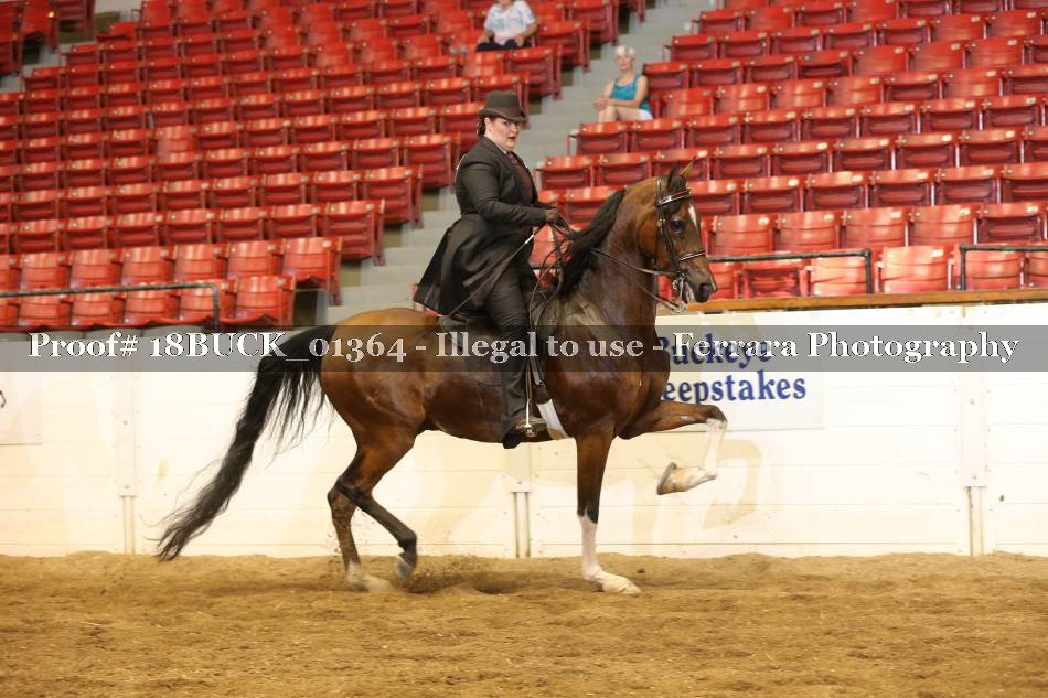 Proof 18BUCK_01364
