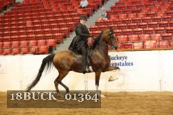 18BUCK_01364 proof
