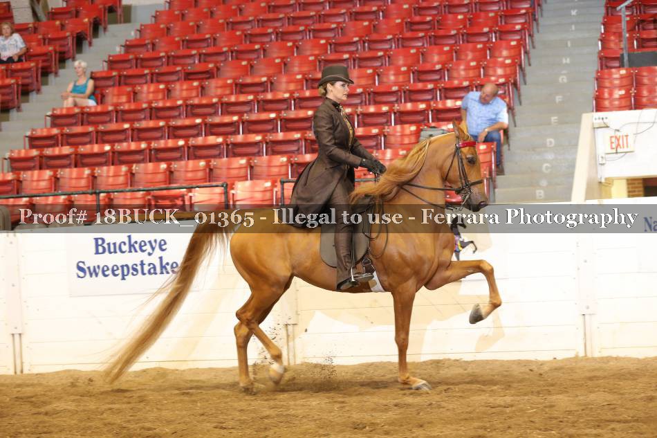 Proof 18BUCK_01365