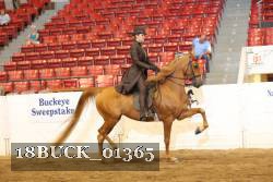 18BUCK_01365 proof