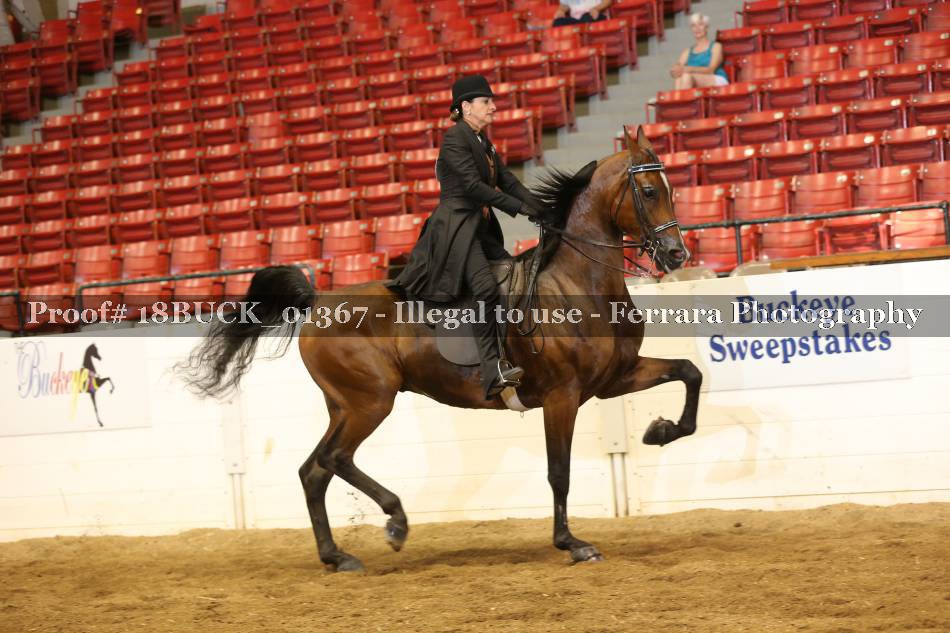 Proof 18BUCK_01367