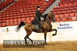 18BUCK_01367 proof
