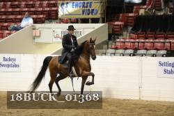 18BUCK_01368 proof
