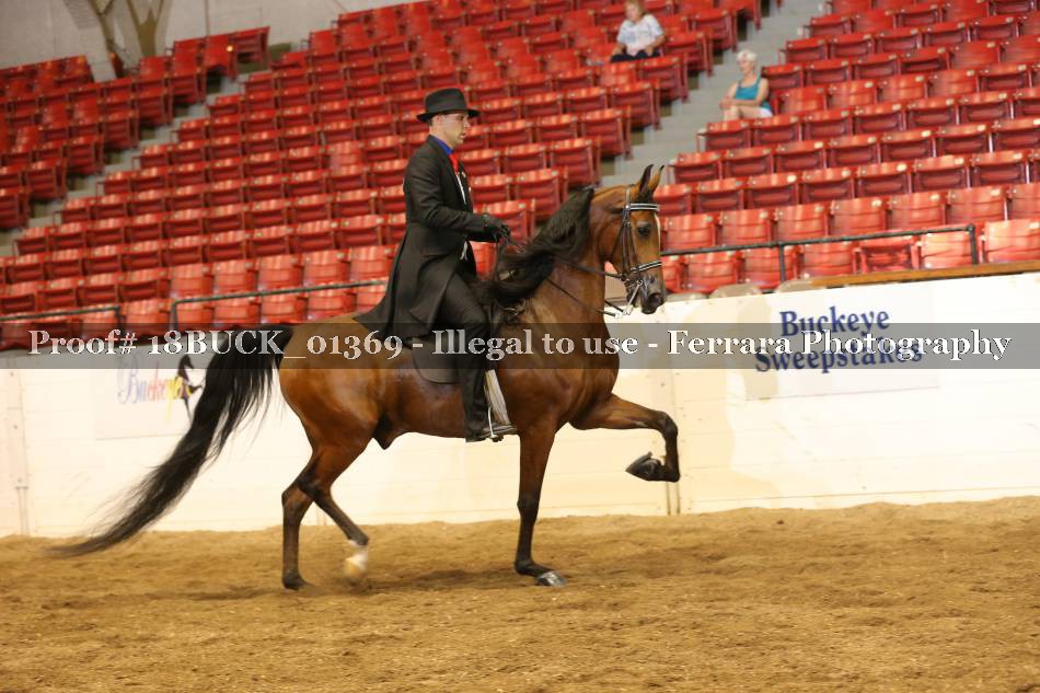 Proof 18BUCK_01369