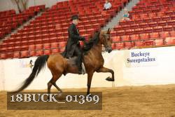 18BUCK_01369 proof